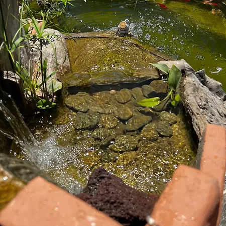 Marios House Lägenhet