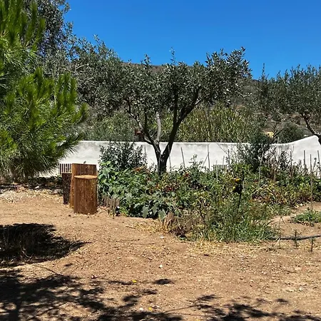 Marios House Διαμέρισμα Κίνι