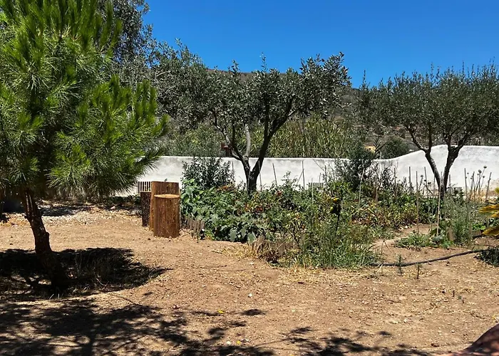 Marios House Διαμέρισμα Κίνι